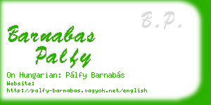 barnabas palfy business card